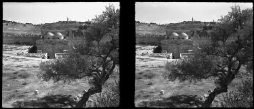 View from the temple area [Dome of the Rock, Arabic Qubbat As-Sakhrah, or Mosque of Omar, on the Temple Mount, viewed from afar with tree in foreground] [picture] / [Frank Hurley]