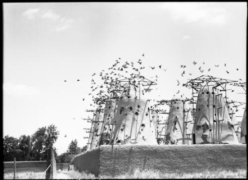 Pigeon Towers near Tel-El-Kebish [?] Egypt [picture] : [Egypt, World War II] / [Frank Hurley]