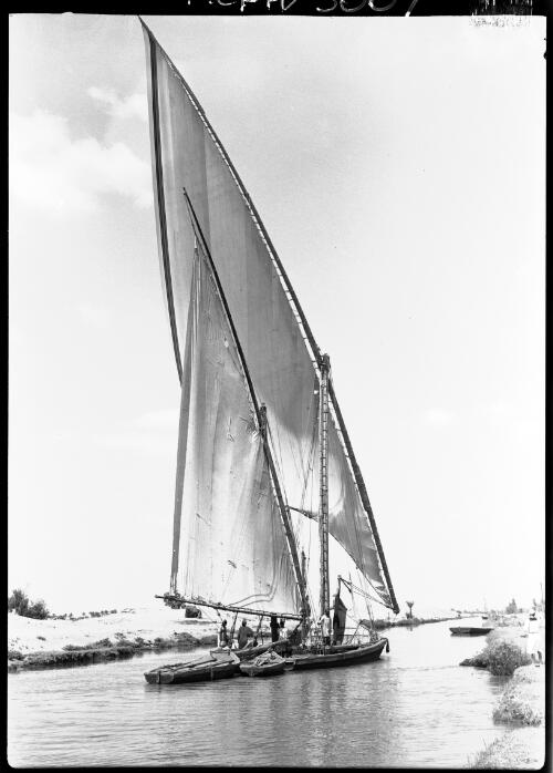 [A felucca or two with full sails and figures on the Nile River] [picture] : [Cairo, Egypt, World War II] / [Frank Hurley]