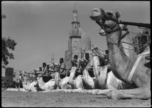 A Patrol of the Cairo police Camel Corps resting in front of the Mausoleum of Sultan Barsbay 1421 A.D. [2] [picture] : [Cairo, Egypt, World War II] / [Frank Hurley]