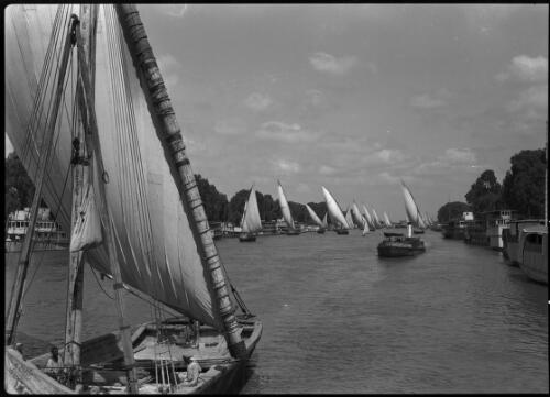 [Feluccas and a motor boat on the river Nile] [picture] : [Cairo, Egypt, World War II] / [Frank Hurley]