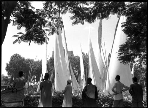 [A row of figures facing the Nile River with feluccas in sail, a basket, viewed through trees] [picture] : [Cairo, Egypt, World War II] / [Frank Hurley]
