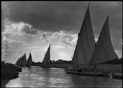 [Feluccas on a waterway, closest towing a smaller boat] [picture] : [Egypt, World War II] / [Frank Hurley]