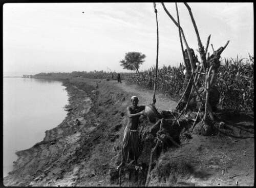 Scene on the bank the Nile near Luxor, [1] [picture] : [Egypt, World War II] / [Frank Hurley]