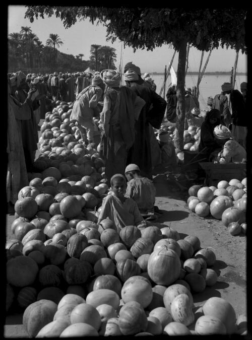 Melon Market on the banks of the Nile at Luxor [picture] : [Egypt, World War II] / [Frank Hurley]