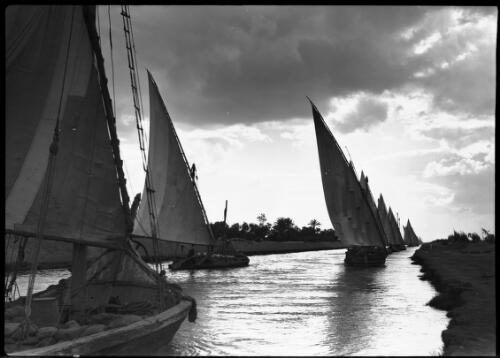 [Feluccas on the Nile] [picture] : [Egypt, World War II] / [Frank Hurley]