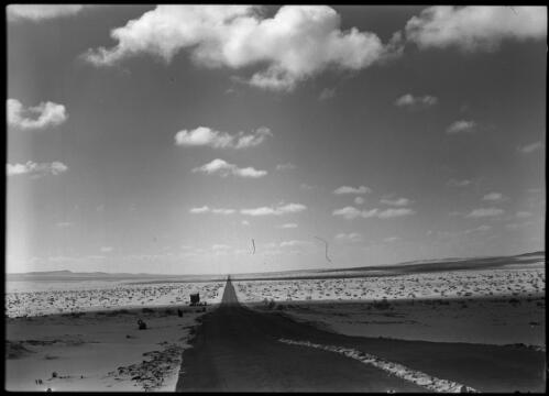 Desert road from Ismalia to Beersheba [Ismailia to Palestine] [picture] : [Egypt, World War II] / [Frank Hurley]