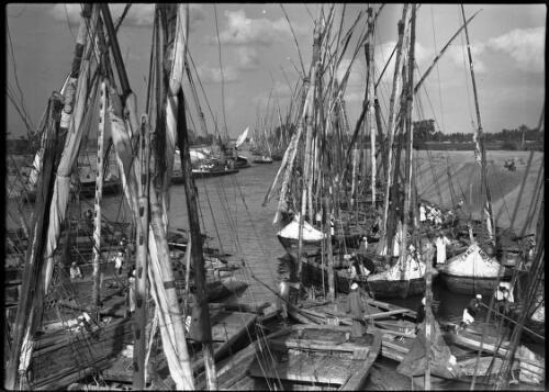 Ships of the Nile on the Ismalia canal, waiting for dock to open [picture] : [Egypt, World War II] / [Frank Hurley]