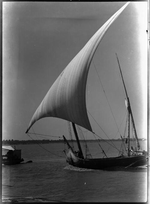 [Felucca on the Nile running before the wind, 2] [picture] : [Egypt, World War II] / [Frank Hurley]