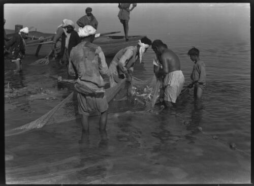 Fishermen landing the nets at Galilee [figures standing] [picture] : [Galilee, World War II] / [Frank Hurley]