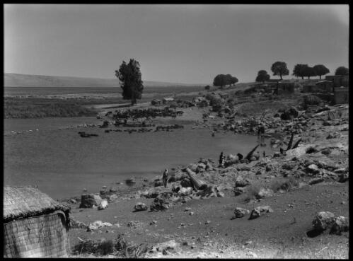 Shore of Sea of Galilee near Tiberias [picture] : [Galilee, World War II] / [Frank Hurley]
