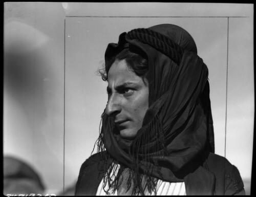 Syrian visitor, a Metawileh from Syria [picture] : [Portrait Studies, Libya, World War II] / [Frank Hurley]