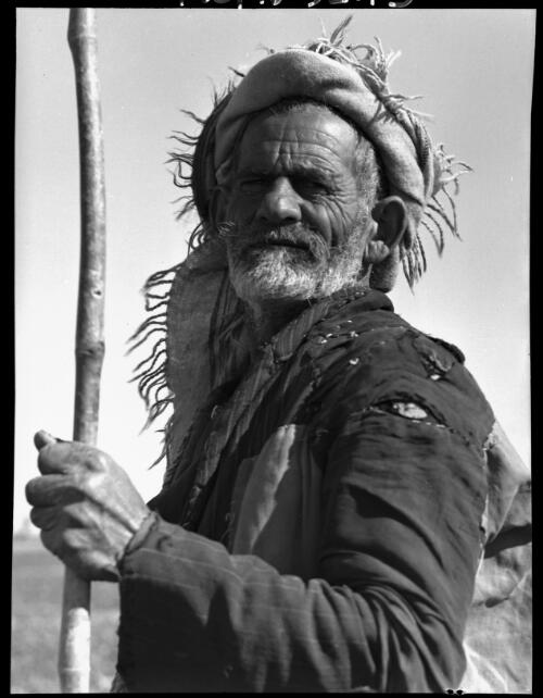 [A fellaheen, holding a staff and wearing a headdress] [picture] : [Portrait Studies, Libya, World War II] / [Frank Hurley]