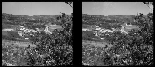 Nazareth [with tree in foreground] [picture] / [Frank Hurley]