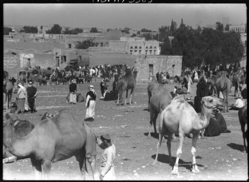 Camel Market Beirsheba [Beersheba, with truck in background, close view] [picture] / [Frank Hurley]