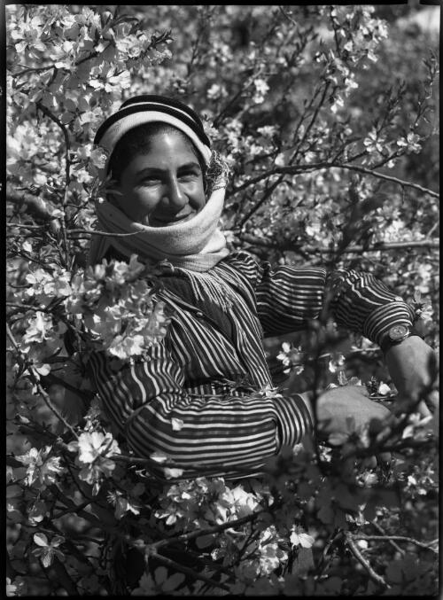 In the spring, Nablus [picture] / [Frank Hurley]