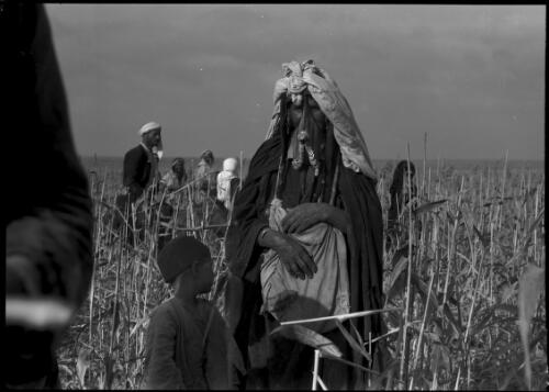 Bedouins harvesting Dhoura, a type of millet, near Beersheba [woman wearing traditional headdress and child in foreground] [picture] / [Frank Hurley]
