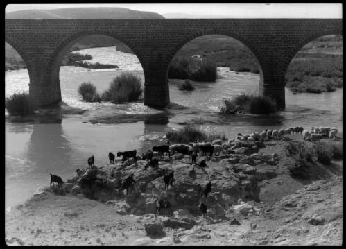 [Bridge over the river Jordan at Jasr Ma Jami, Nth Palestine, with large stone bridge in the middlegound] [picture] / [Frank Hurley]