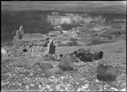 Baalbek Syria [shepherds with flock of sheep on hill overlooking Baalbek] [picture] : [Lebanon, World War II] / [Frank Hurley]