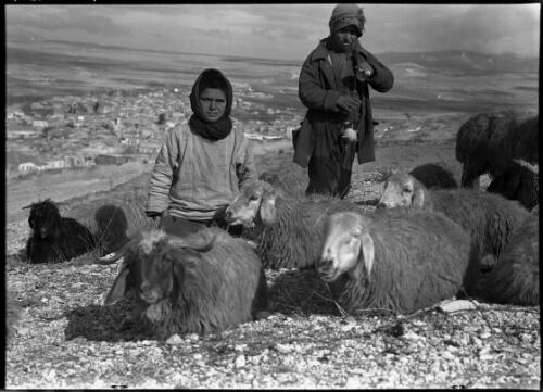 Baalbek Syria [shepherd and child with a flock of sheep] [picture] : [Lebanon, World War II] / [Frank Hurley]