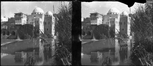 Hama Syria [view through trees to Hama waterwheel and surrounding town buildings, 1] [picture] : [Syria, World War II] / [Frank Hurley]