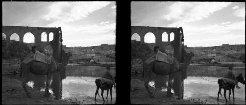 Waterwheels Hama [aqueduct and waterwheel with child on donkey and camel in foreground] [picture] : [Syria, World War II] / [Frank Hurley]