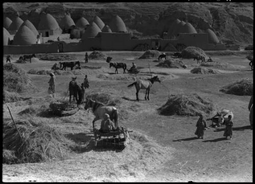 Threshing floor Nth Syria [picture] / [Frank Hurley]