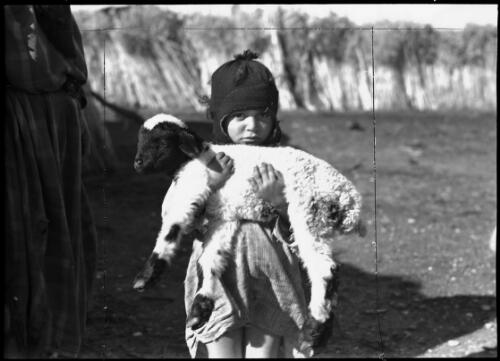 A little Bedouin lamb, Syria [child with lamb] [picture] / [Frank Hurley]