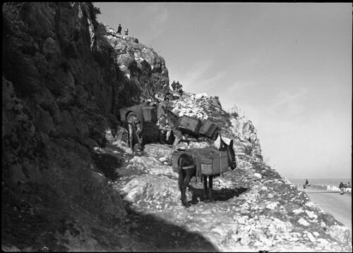 Wady-El-Kalb (Dog R) [men with laden donkeys ascent the rocky mountain] [picture] / [Frank Hurley]