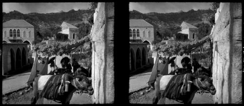 [A village street, a donkey in the foreground] [picture] : [World War II] / [Frank Hurley]