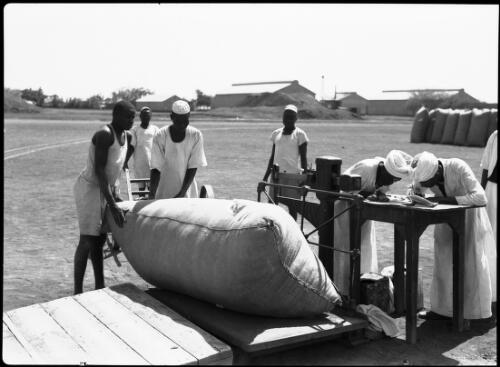 Weighing cotton as it comes in to the ginning factories [picture] : [Sudan, World War II] / [Frank Hurley]