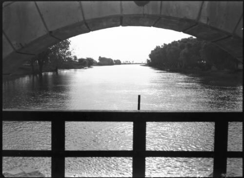 Glimpse on the main canal which conveys the water from the Sennar dam to the Gezira Plantations [picture] : [Sudan, World War II] / [Frank Hurley]