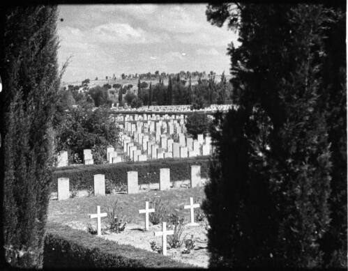 Gaza War Cemetery [general view through trees to cemetery graves and headstones] [picture] / [Frank Hurley]