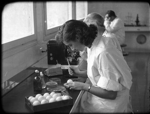 The Hebrew Medical School University Library [Jerusalem, students in the laboratory] [picture] / [Frank Hurley]
