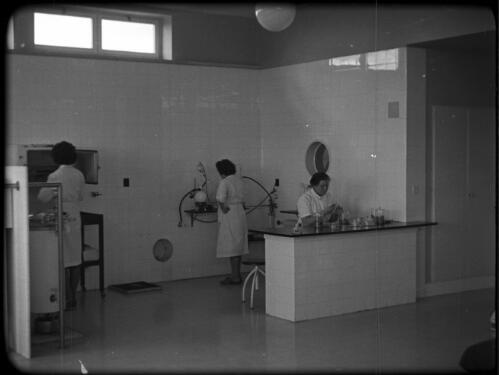 The Hebrew Medical School University Library [Jerusalem, students at work in the laboratory, 1] [picture] / [Frank Hurley]