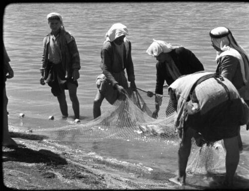 Lake of Galilee [bringing in the day's catch] [picture] / [Frank Hurley]