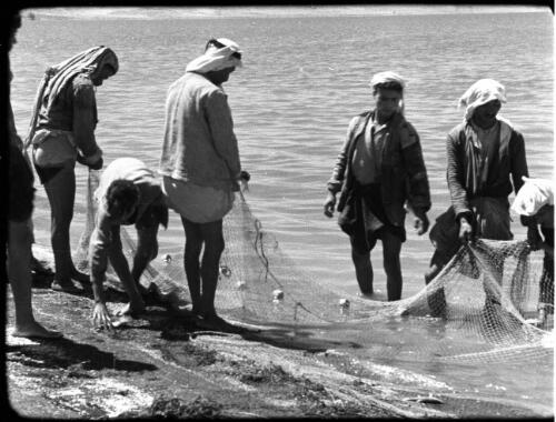 Lake of Galilee [five fishermen bringing in their nets] [picture] / [Frank Hurley]