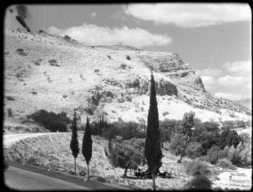 Lake of Galilee [view of winding road and surrounding hilly terrain, cattle can be seen in foreground resting under the shade of trees] [picture] / [Frank Hurley]
