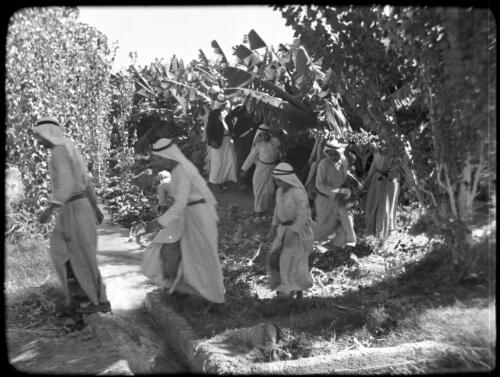 Jericho & Banana Plantation [line of Arabs making their way through the plantation] [picture] / [Frank Hurley]