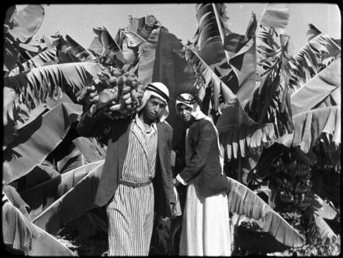 Jericho & Banana Plantation [two plantation workers amidst the banana palms] [picture] / [Frank Hurley]