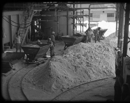 Palestine Potash & Dead Sea [workers loading trolleys  Palestine Potash Company] [picture] / [Frank Hurley]