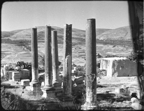 Sebaste near Nablus, also Jacobs Field [stand of columns, ruins of Samaria?] [picture] / [Frank Hurley]