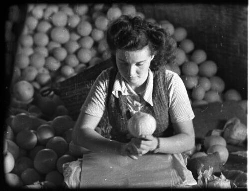 Athlit & Jewish village showing farmwork & school [woman packing oranges, 2] [picture] / [Frank Hurley]