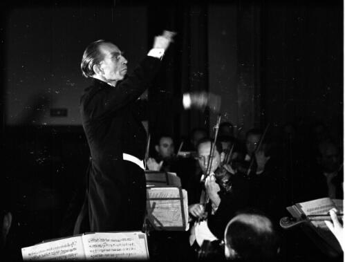 [The conductor] [picture] / [Frank Hurley]