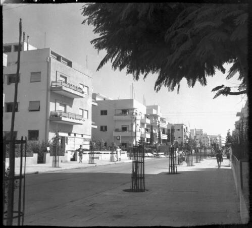 Stereos, Tel Aviv, taken 6th Aug 41 [1941, view down unidentified residential street, 2] [picture] / [Frank Hurley]