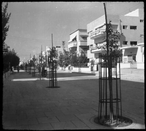 Stereos, Tel Aviv, taken 6th Aug 41 [1941, view down unidentified residential street, 1] [picture] / [Frank Hurley]