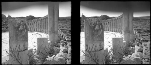 Stereos, Jerash [curved colonade of pillars with ionic capitals joined with lintels, broken column in foreground] [picture] : [Jordan] / [Frank Hurley]