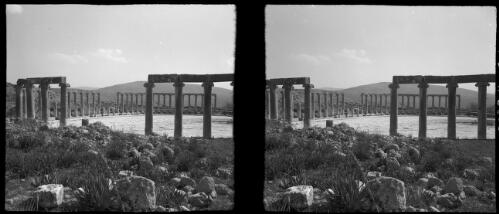 Stereos, Jerash [rocky foreground, broken groups of columns forming amphitheatre behind] [picture] : [Jordan] / [Frank Hurley]