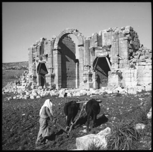 Jerash ruins Transjordan [1] [picture] : [Jordan] / [Frank Hurley]