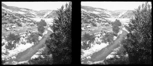 Peeps in Amman, stereos, capital Transjordania [valley with single-arched stone bridge, and small winding river] [picture] : [Jordan] / [Frank Hurley]